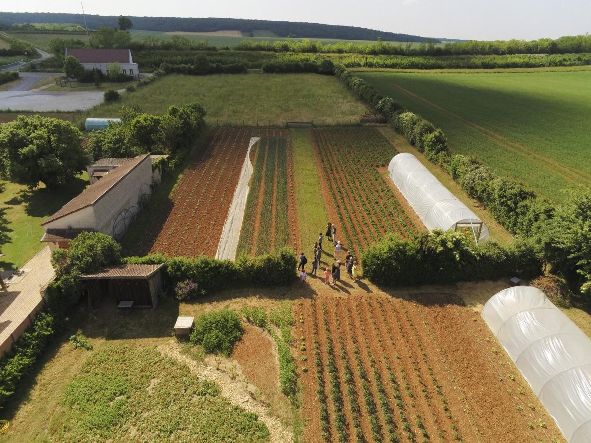 Le Concept-Studio Perrigny-sur-Armancon Exterior photo